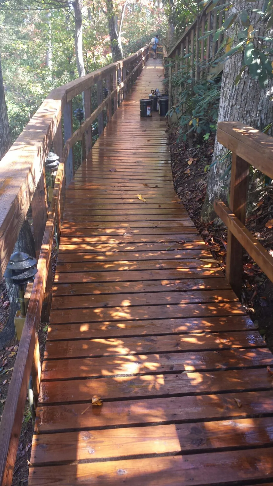 Freshly stained wood walkway winding through the woods in Glencoe